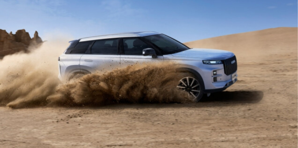 نمایندگی مرکزی لوکانو