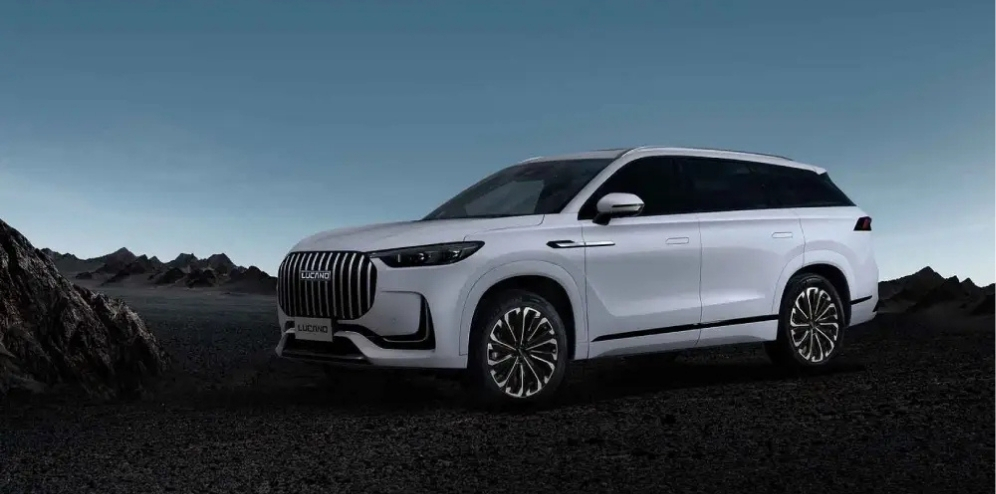 نمایندگی برتر لوکانو 