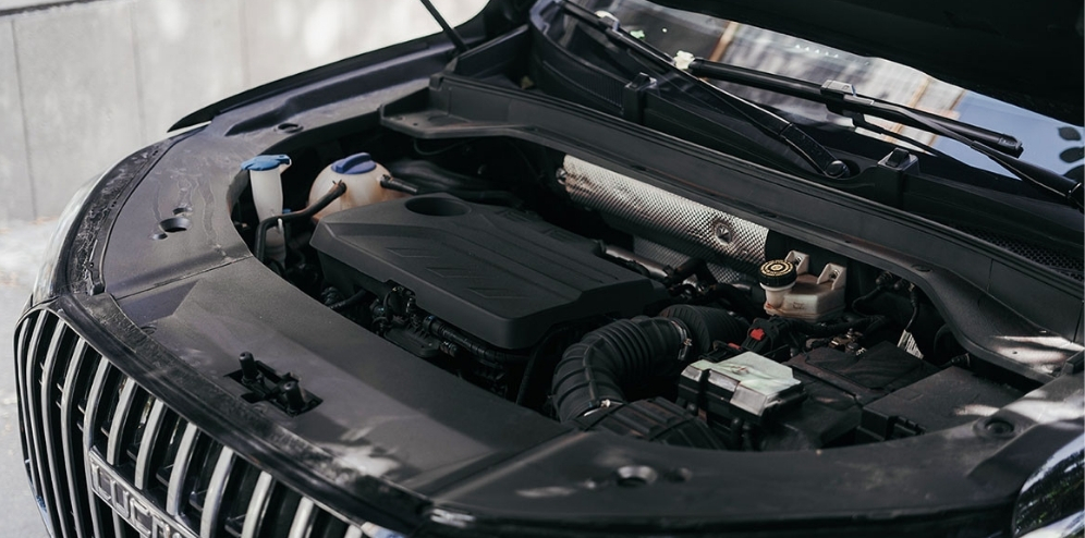 نمایندگی برتر لوکانو