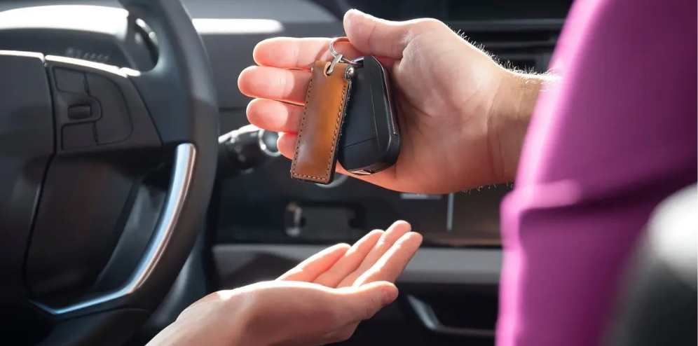 نمایندگی برتر لوکانو