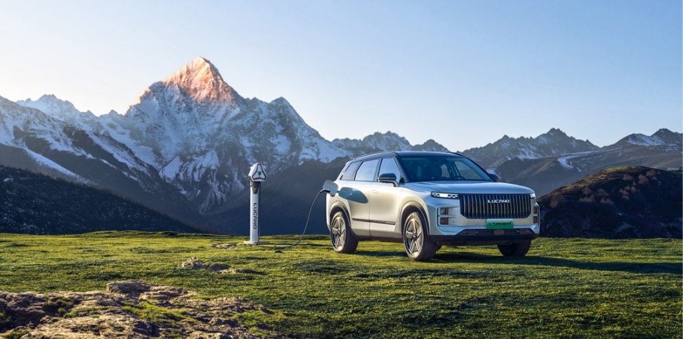 نمایندگی برتر لوکانو